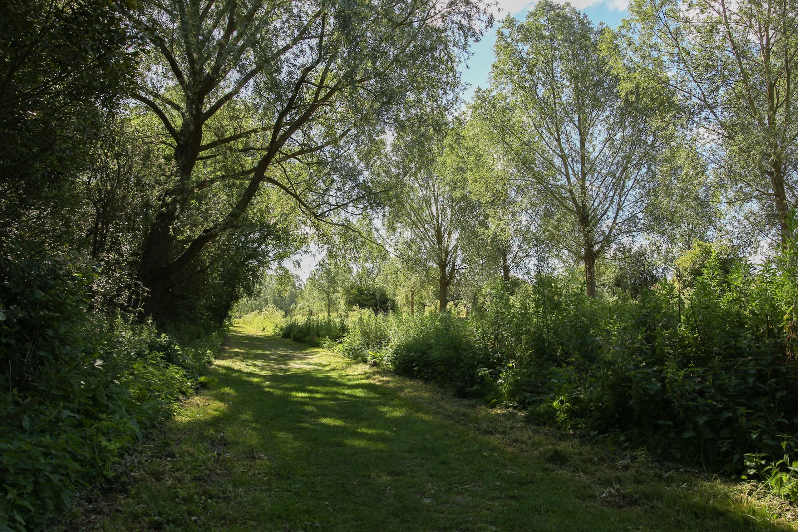https://whatremovals.co.uk/wp-content/uploads/2022/02/Whetmead Nature Reserve-300x200.jpeg